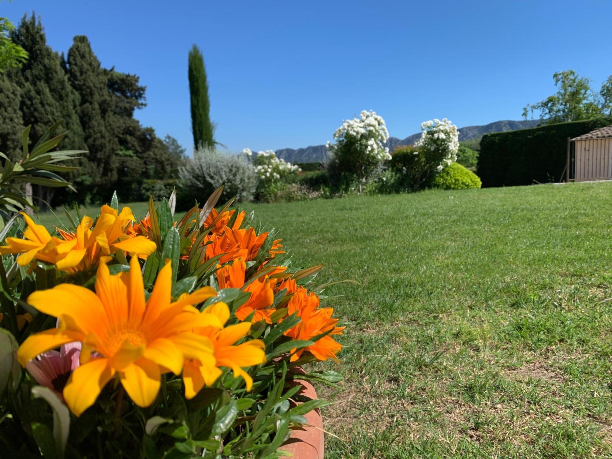 En Provence, Chez Stephanie Et Marcel Saint-Rémy-de-Provence エクステリア 写真
