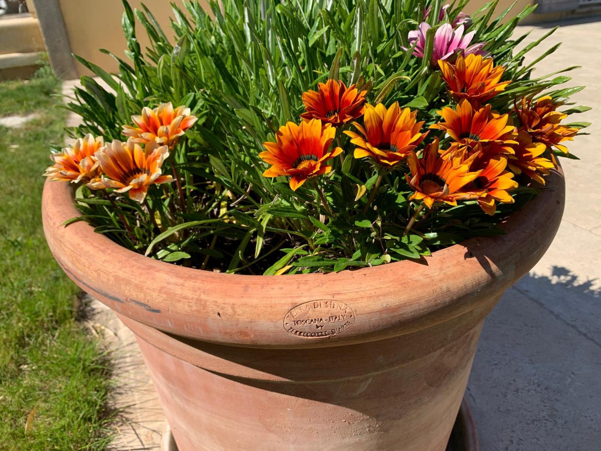 En Provence, Chez Stephanie Et Marcel Saint-Rémy-de-Provence エクステリア 写真