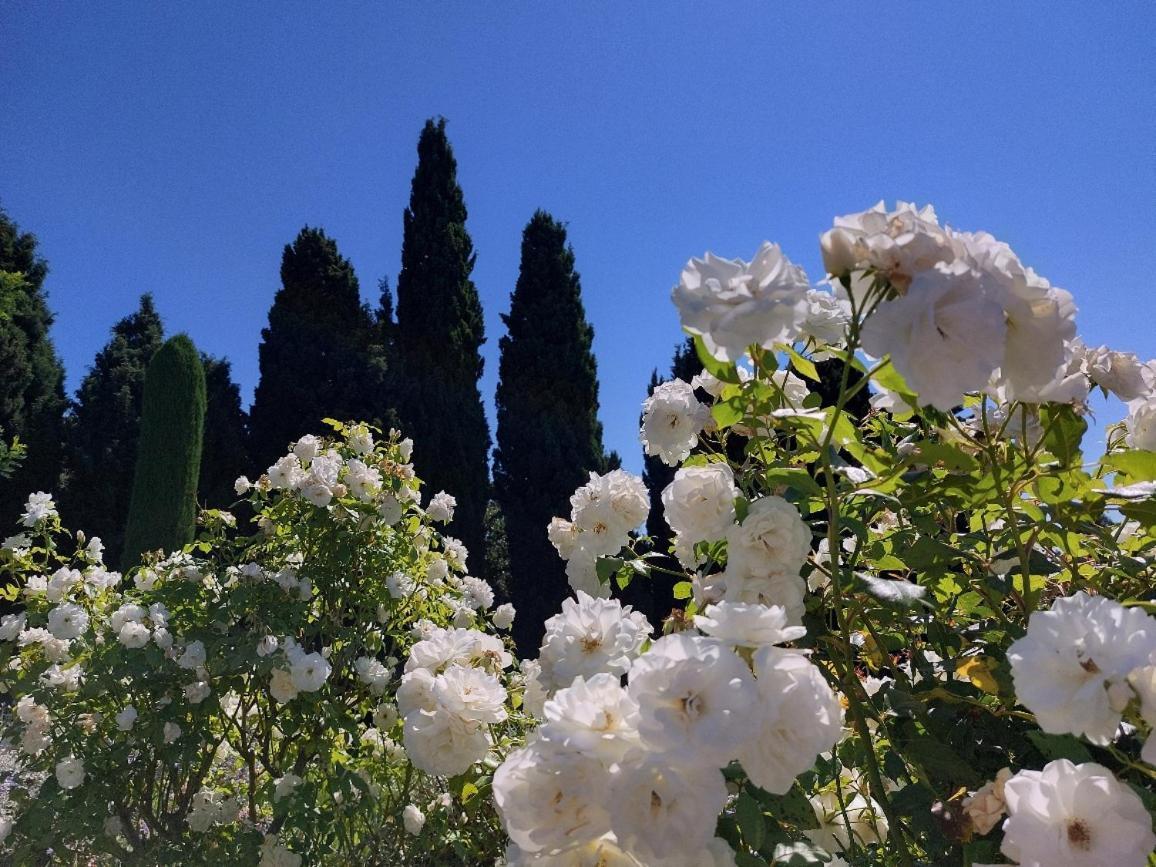 En Provence, Chez Stephanie Et Marcel Saint-Rémy-de-Provence エクステリア 写真