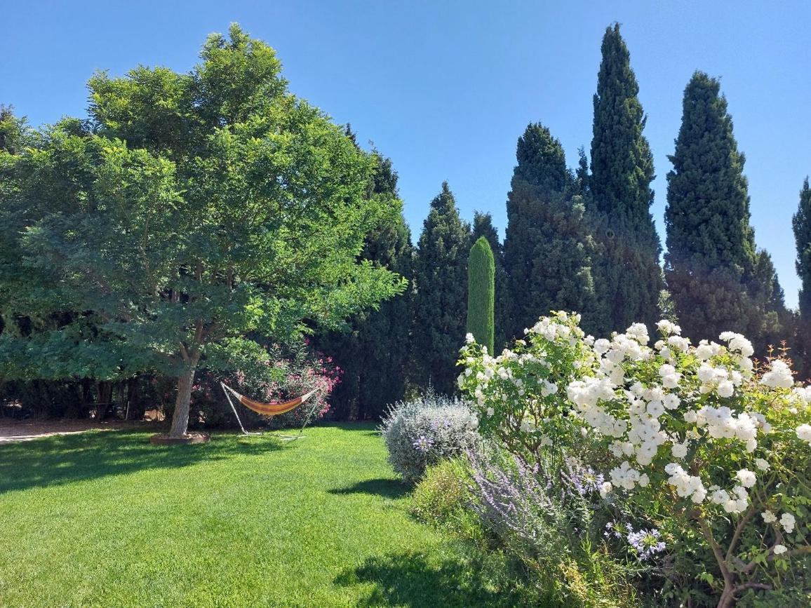 En Provence, Chez Stephanie Et Marcel Saint-Rémy-de-Provence エクステリア 写真